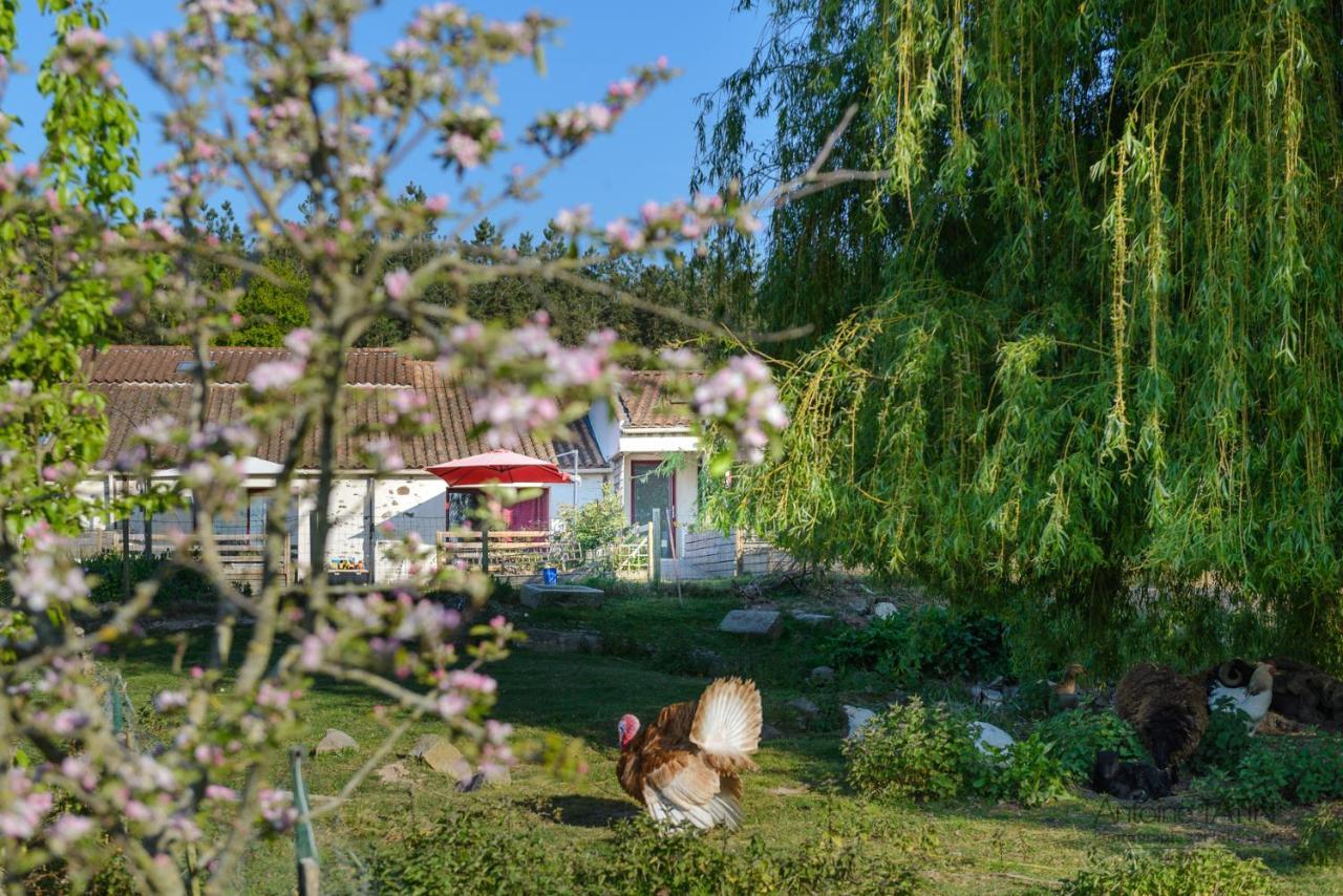 Bed and Breakfast La Chevrerie Vaire Экстерьер фото